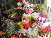 「あずみ野花園」　（東京都町田市）の花屋店舗写真2